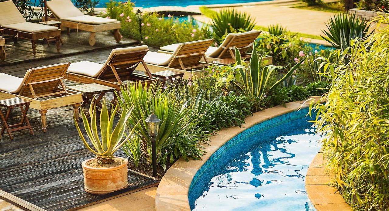 The Cliff Beach Apartments ابزور المظهر الخارجي الصورة